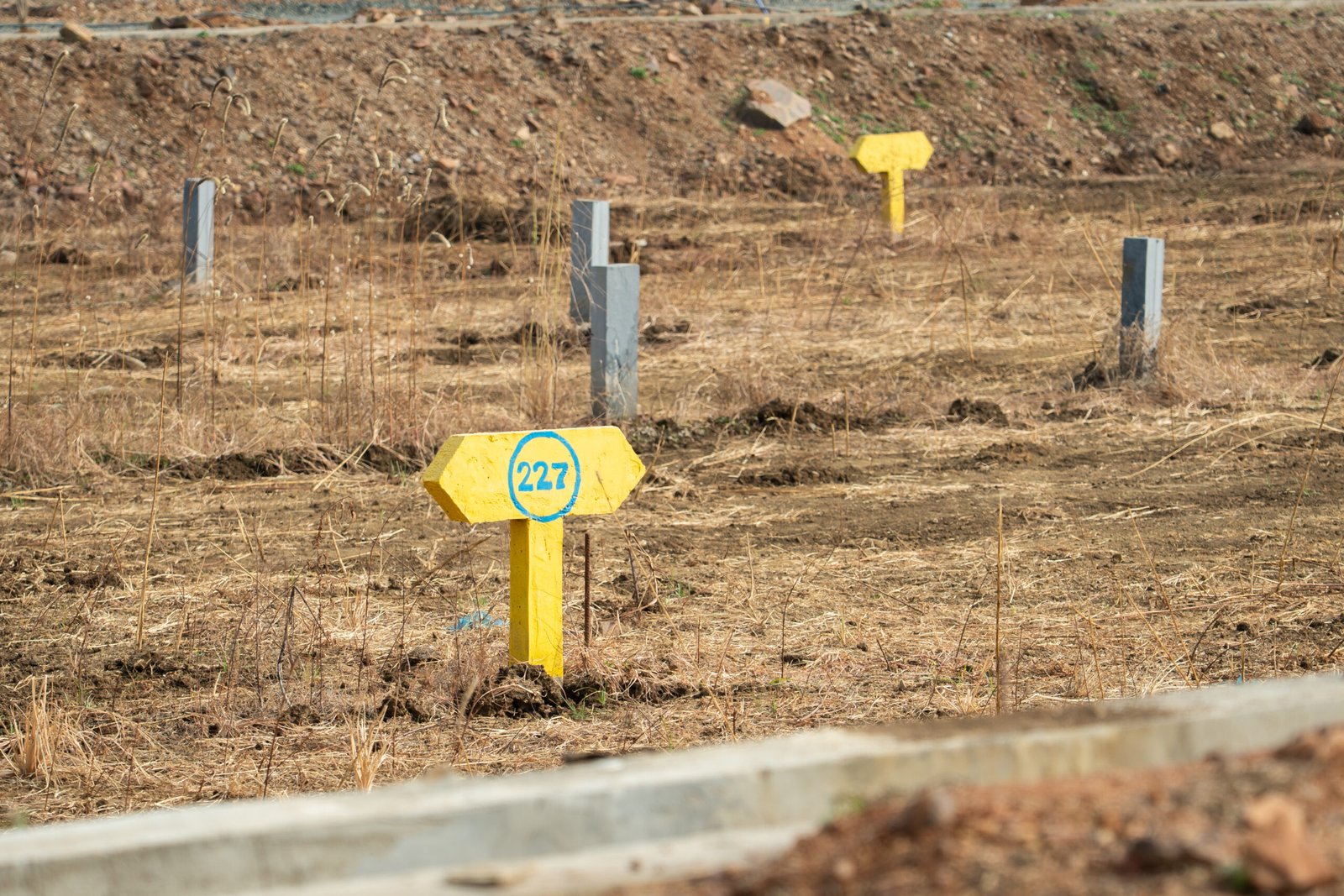 Boundary marking